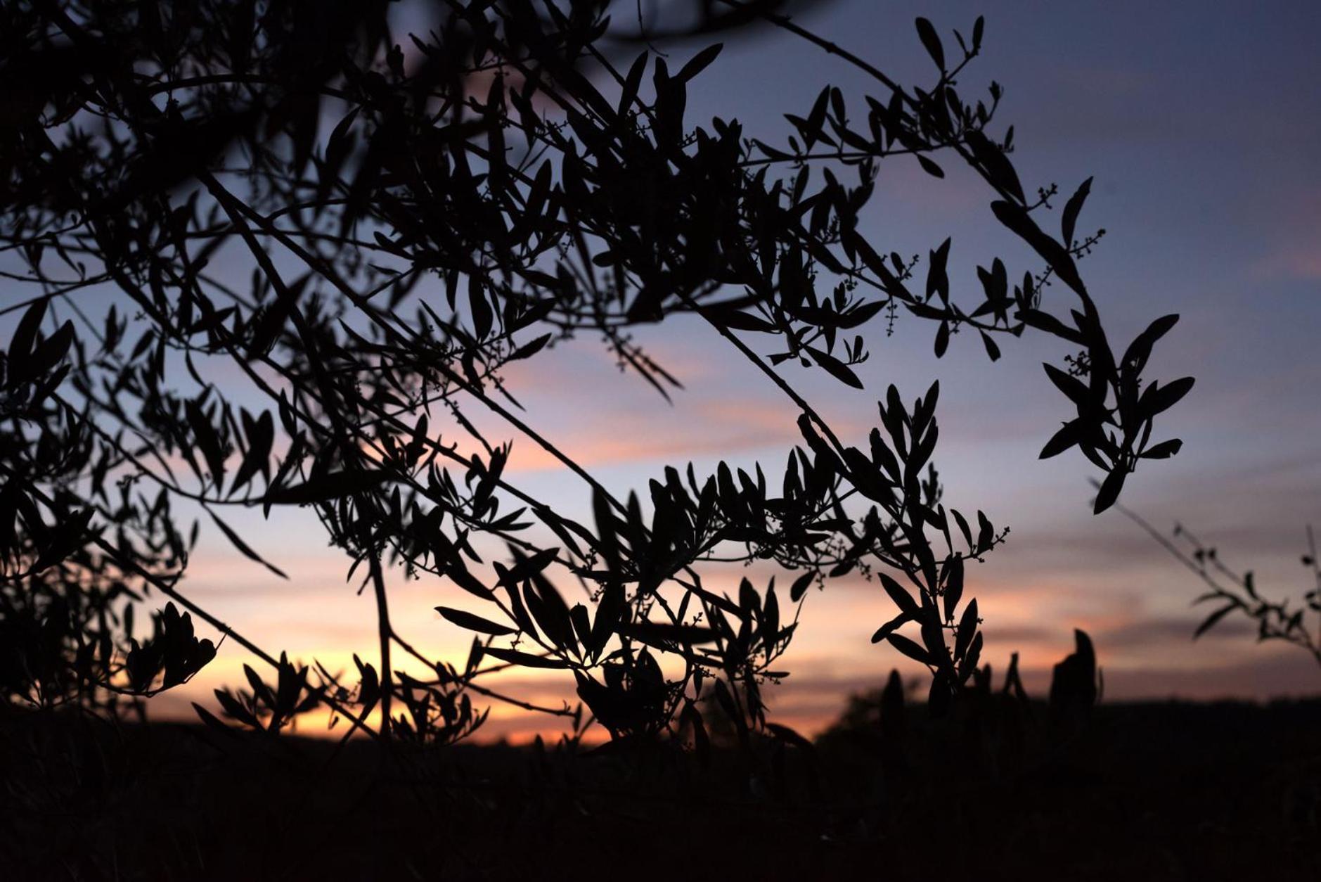 Bed and Breakfast La Vittoria 10 - La Soglia Della Val D'Orcia Кьянчано-Терме Экстерьер фото