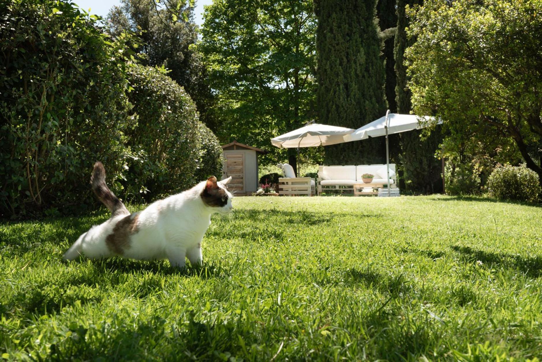 Bed and Breakfast La Vittoria 10 - La Soglia Della Val D'Orcia Кьянчано-Терме Экстерьер фото
